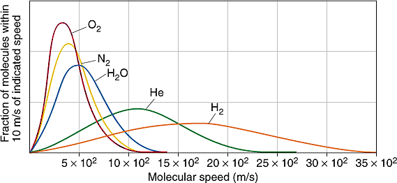 Thermal Molecular Velocity of Gas Molecules 